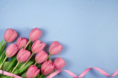 Fototapeta Naklejka Na Ścianę i Meble -  Pink tulips flowers with ribbon on blue background. Card for Mothers day, 8 March, Happy Easter, Valentines Day.