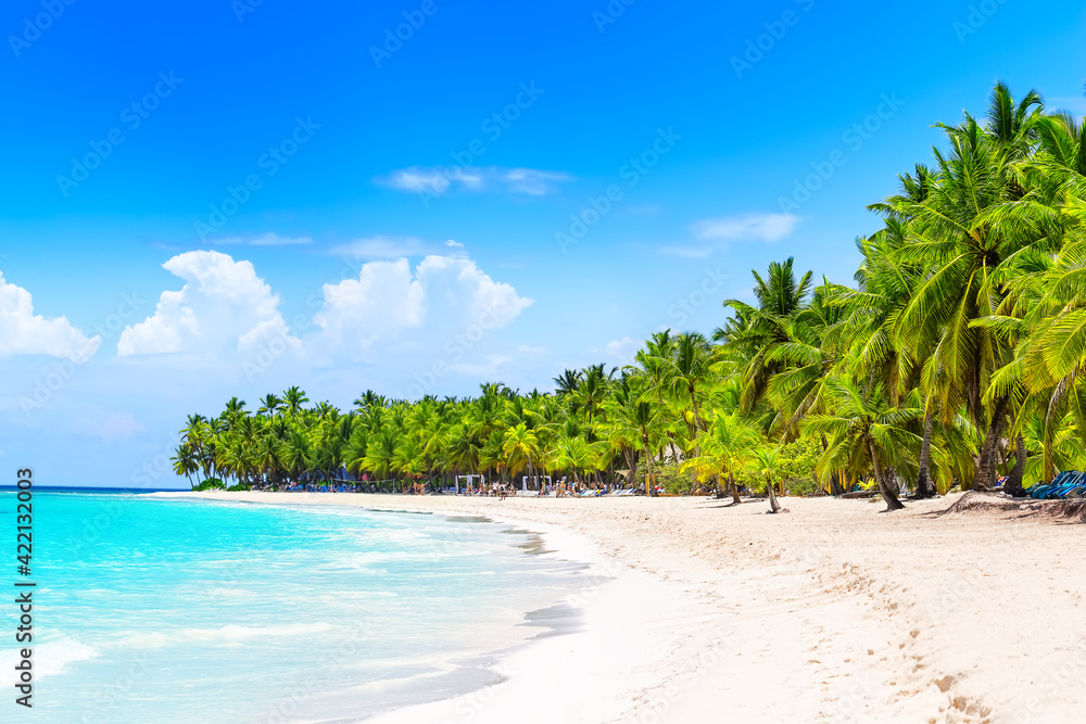 Coconut Palm trees on white sandy beach in Punta Cana, Dominican Republic.