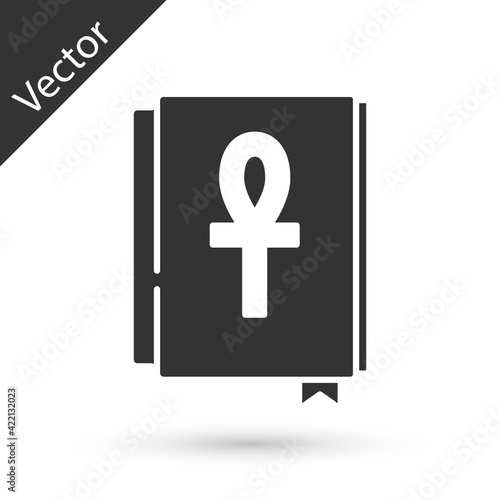 Grey Cross ankh book icon isolated on white background. Vector