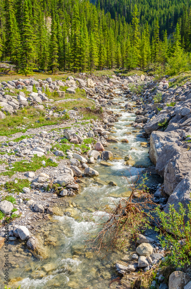 Fototapeta premium Majestic mountain river with mountain background in Canada.
