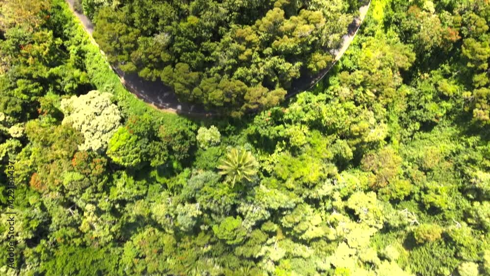 Drone Shot of Road Surrounded by Tropical Forest on Island of Maui, Hawaii. Drone Shot of Road Surrounded by Tropical Forest on Island of Maui, Hawaii.