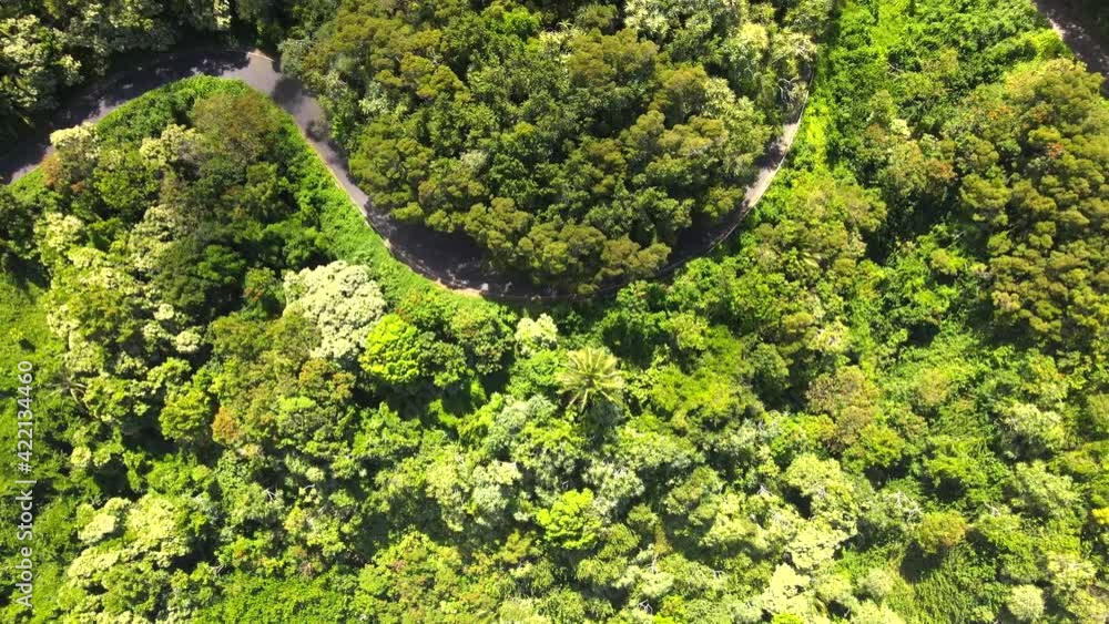 Drone Shot of Road Surrounded by Tropical Forest on Island of Maui, Hawaii. Drone Shot of Road Surrounded by Tropical Forest on Island of Maui, Hawaii.