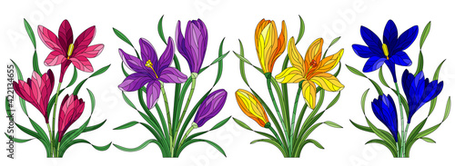 Set of illustrations in the stained glass style with floral arrangements of hyacinths, flowers isolated on a white background