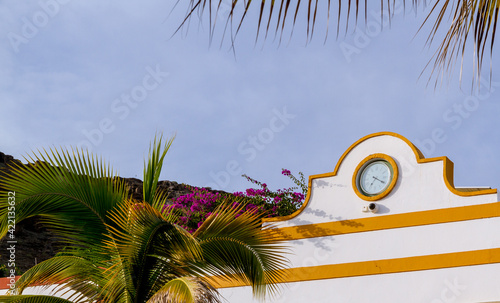 Clock on a white wall by a palm tree photo