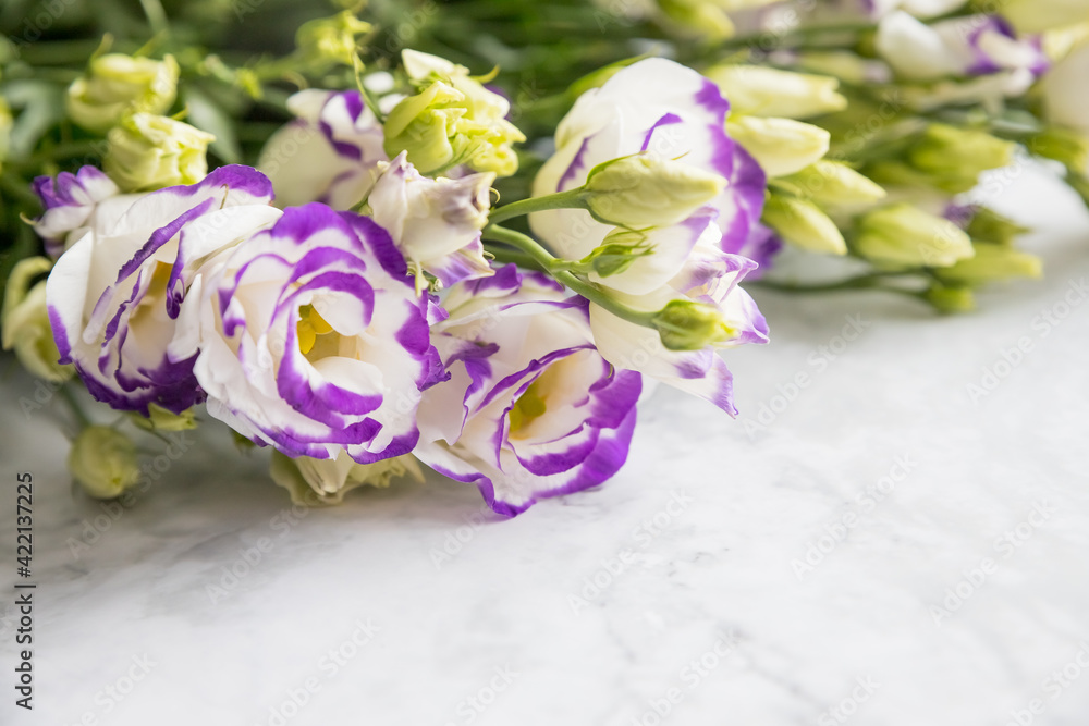 Eustoma flowers bouquet mix of white, purple and violet lisianthus. Isolated on marble background.Copy space. Eustoma blossom..Floral background. flower arrangement Eustoma flowers bouquet mix of white, purple and violet lisianthus. Isolated on marble background.Copy space. Eustoma blossom..Floral background. flower arrangement
