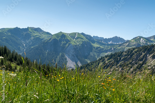 View to the mountain Lachenspitze in the valley of Tannheim.