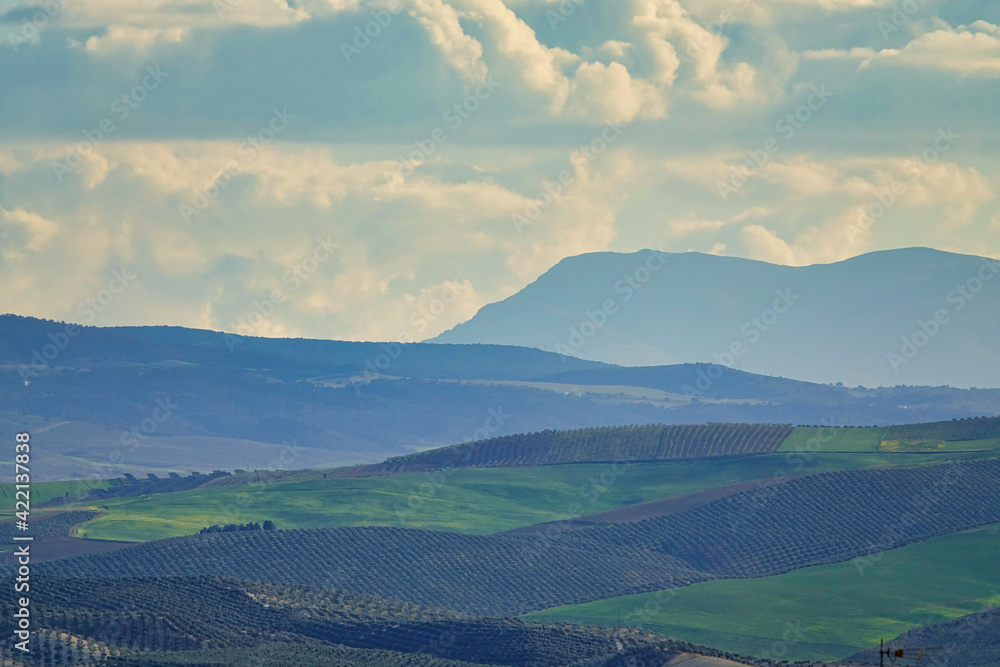 Panoramic view of the fertile plain of Granada (Spain) between hills and mountains at sunset