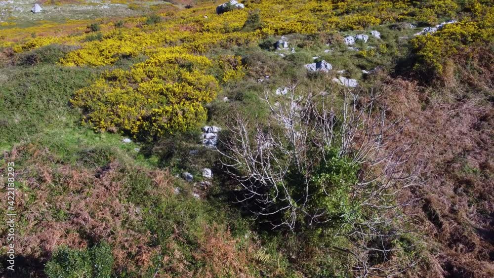 View from a drone of the landscape in the surroundings of Monte Candina in the Liendo Valley in Cantabria, Spain, Europe View from a drone of the landscape in the surroundings of Monte Candina in the Liendo Valley in Cantabria, Spain, Europe