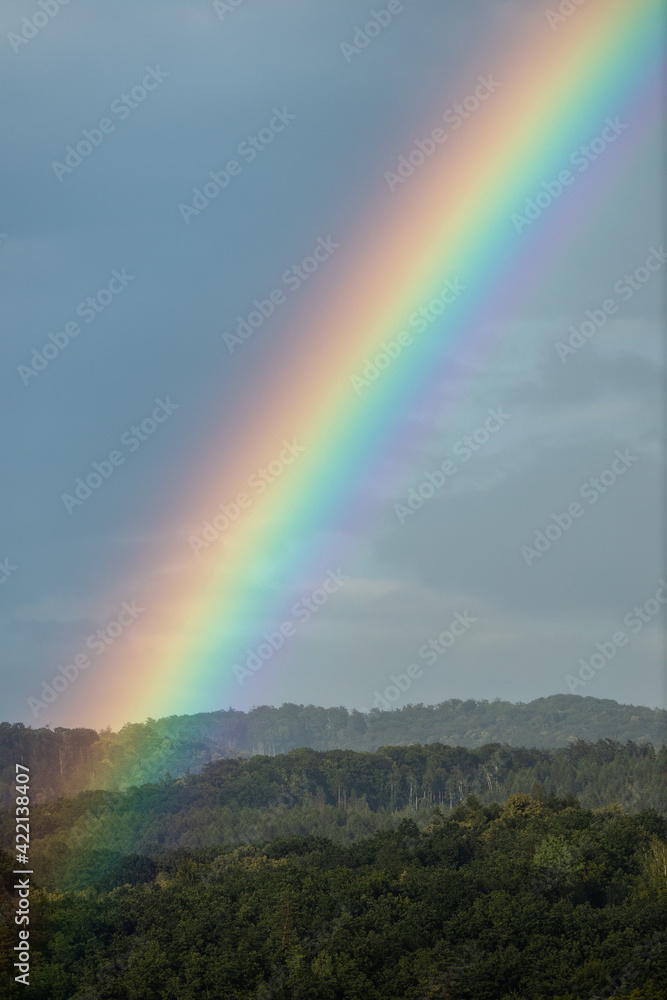 Rain falling from the sky, bringint the very needed humidity to the nature