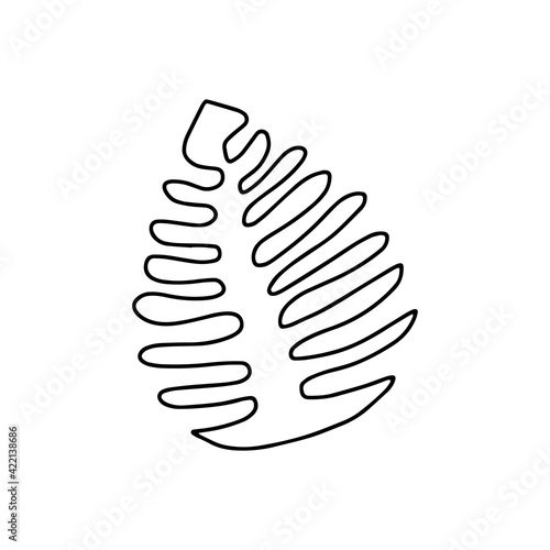Illustration of a black leaf monstera isolated on a white background