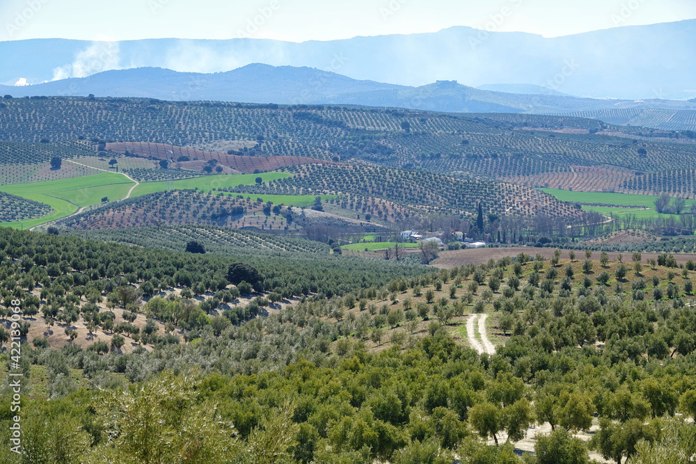 Andalusian agricultural landscape along the 