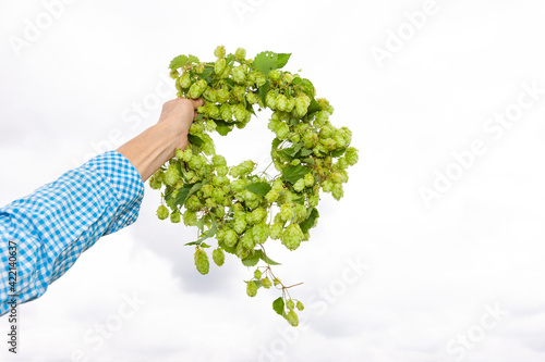 Hopfenkranz in einer Hand vor hellem Hintergrund