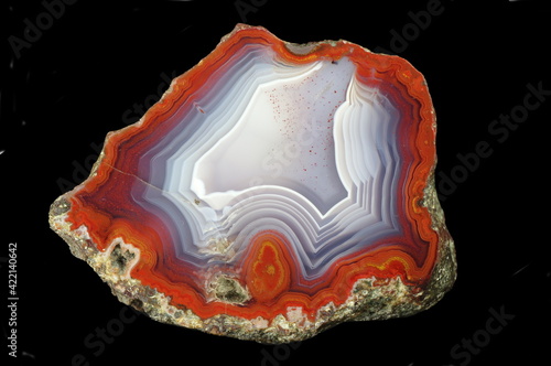 A cross section of the agate stone. Multicolored silica rings colored with metal oxides are visible. Chalcedony lamination occurs. Origin: Rudno near Krakow, Poland. photo