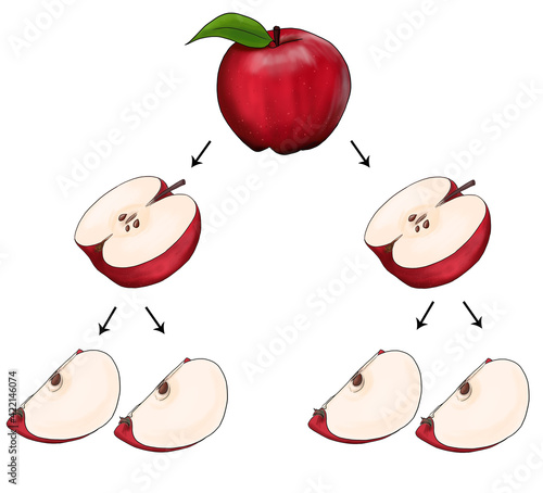 Foto Narration of fractions with apple drawing