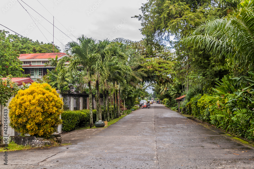 View of a street in Silay city, Philippines. View of a street in Silay city, Philippines.