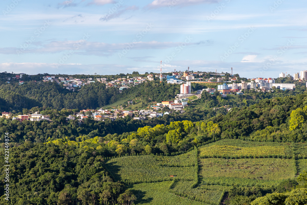 Vineyards and forest with Bento Goncalves city in background