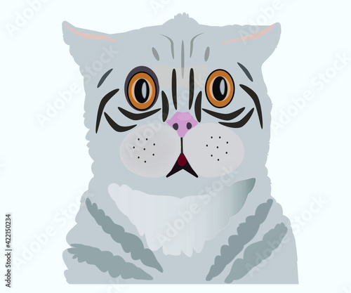 Удивление белого кота