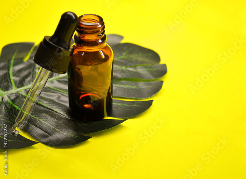 Tropical palm leaves with epty space in the middle. Glass bottle with pipette photo