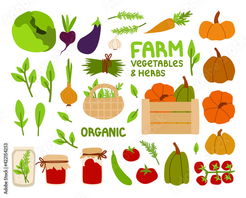 Farm products. Set of vector vegetables and greens in eco style. Garden plants: cabbage, onion, rosemary, arugula, pumpkin. Jars of jam. Elements for packaging, scrapbooking, textiles, children's game