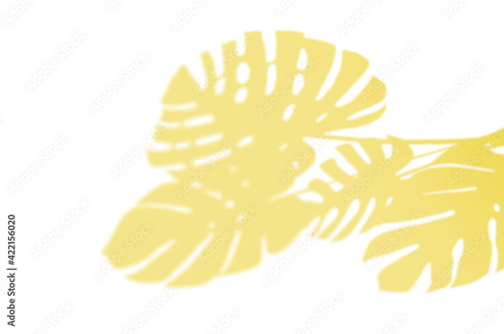Summer Background Of Shadows Branch Leaves On a Wall. Illuminating Pantone Color Of The Year 2021 Summer Background Of Shadows Branch Leaves On a Wall. Illuminating Pantone Color Of The Year 2021