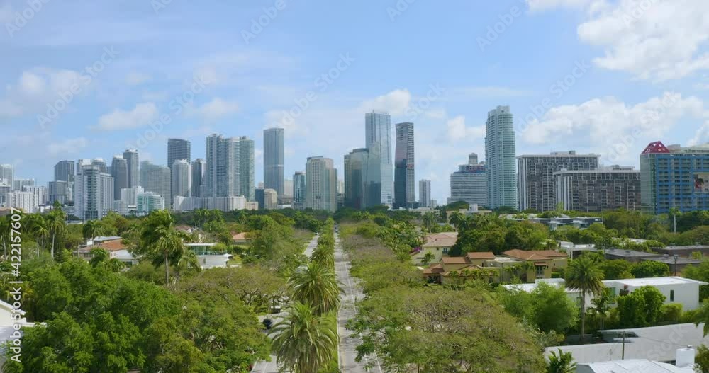 aerial view of the modern downtown Miami from residential South Miami Avenue
aerial view of the modern downtown Miami from residential South Miami Avenue