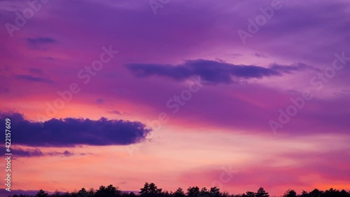 Purple sky over forest tree tops silhouette, sunset above woods clouds timelaps motion video laps background in 4K