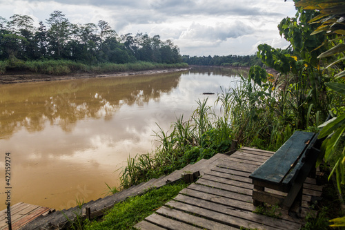 Fototapeta Naklejka Na Ścianę i Meble -  View of Kinabatangan river, Sabah, Malaysia