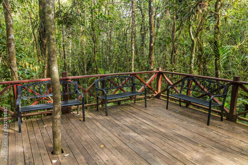 Rest area in a forest of Kinabalu Park, Sabah, Malaysia Rest area in a forest of Kinabalu Park, Sabah, Malaysia