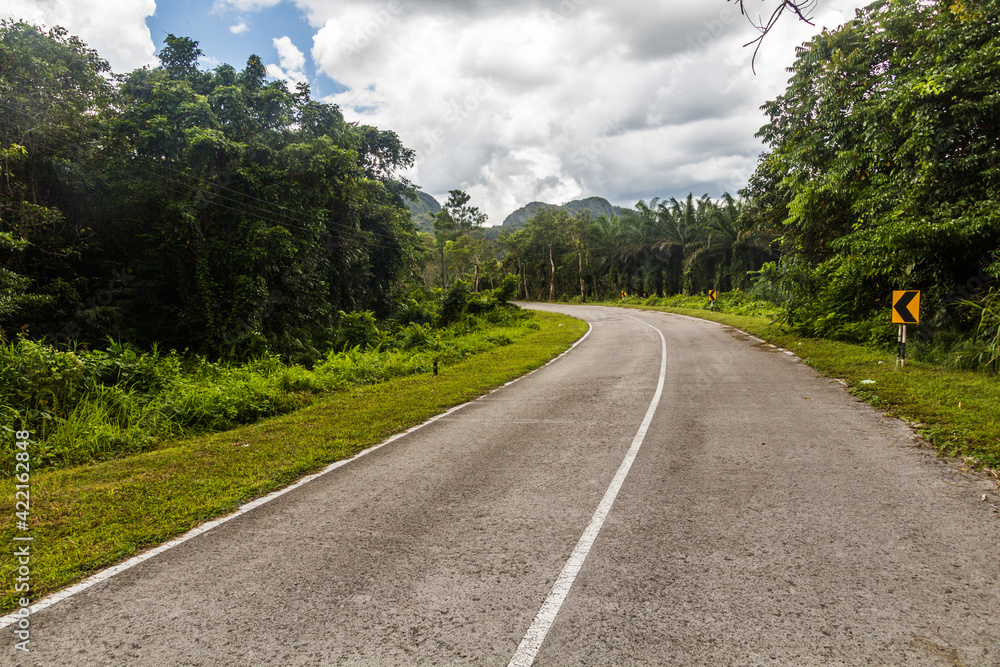 Naklejka premium Road in Sarawak state, Malaysia