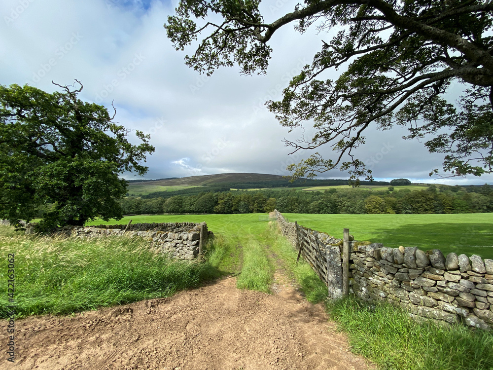 Entrance to a farmers field, with dry stone walls, trees, and an open gate near, Bolton Abbey, Skipton, UK