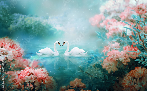 Two white swans couple swimming in lake, fantasy magical enchanted fairy tale landscape with elegant birds in love, fairytale blooming pink rose flower garden on mysterious blue background in night photo