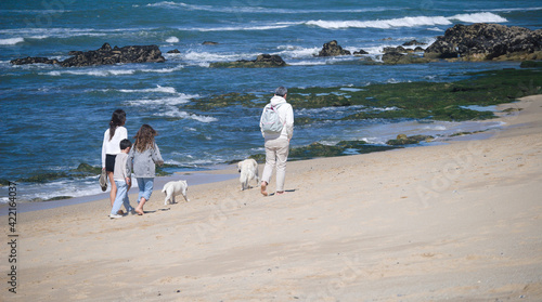 Familia feliz a passear na praia com 2 mascotes, cães brancos, à beira mar