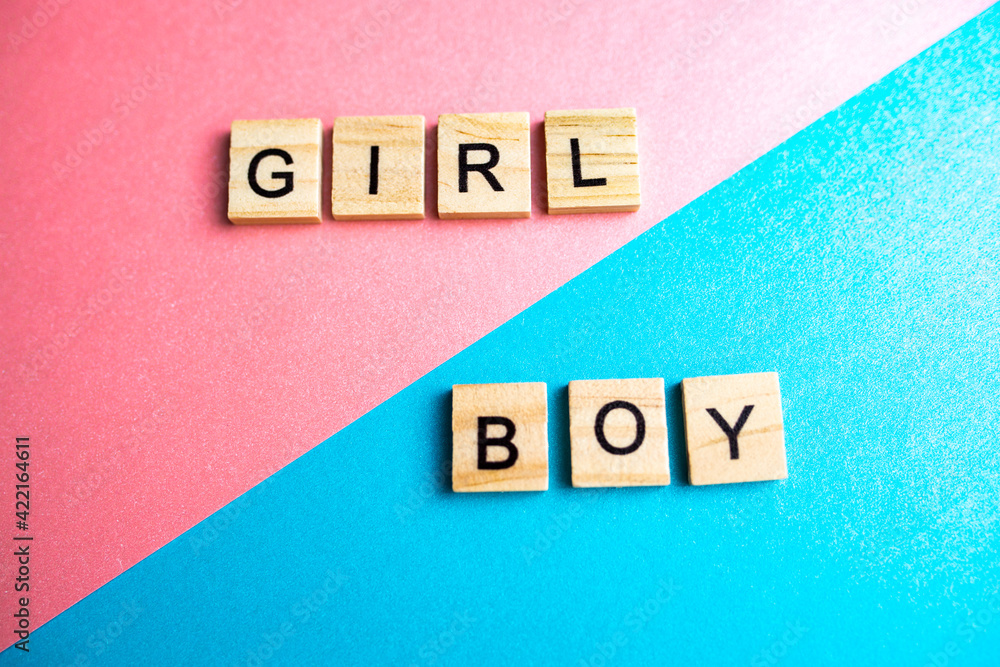 blocks of the alphabet with letters on a double background pink and blue. lettering boy and girl on blue and pink sheet of paper blocks of the alphabet with letters on a double background pink and blue. lettering boy and girl on blue and pink sheet of paper