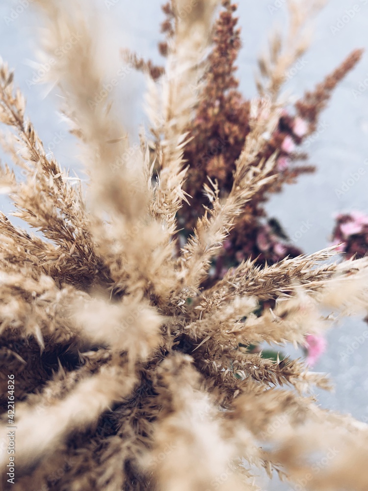Beautiful dried flowers bouquet. Beautiful dried flowers bouquet.