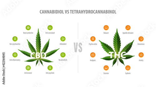 White banner with comparison CBD and THC. CBD vs THC, list of differences with icons and green leafs of cannabis and hemp.