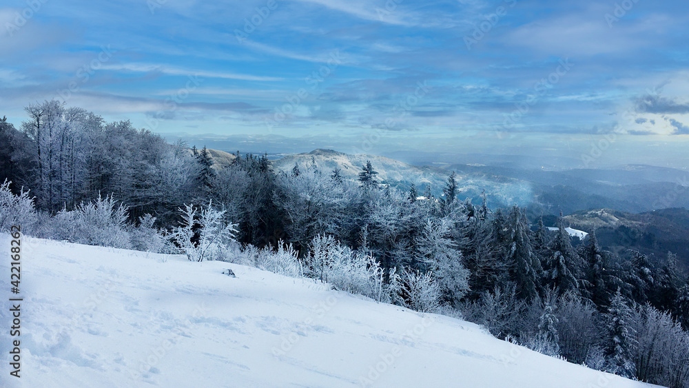 Schwarzwald