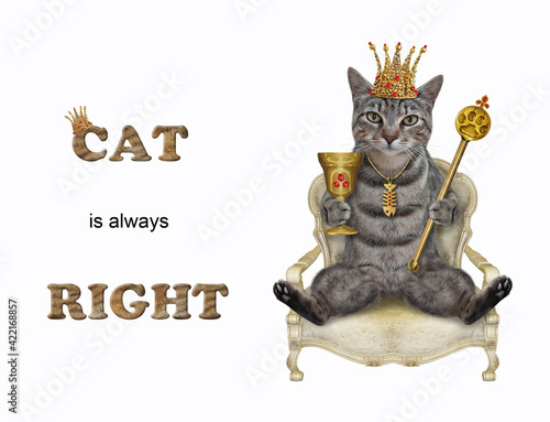 A gray cat in a golden crown with a scepter is sitting in a throne. Cat is always right. White background. Isolated. © iridi66