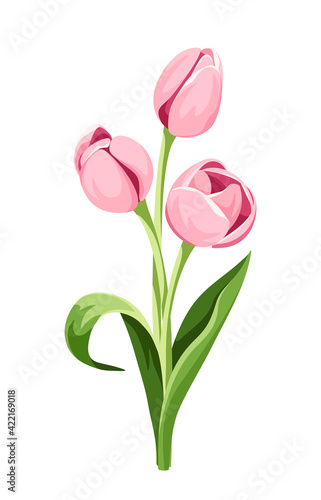 Vector bouquet of three pink tulip flowers isolated on a white background. © naddya