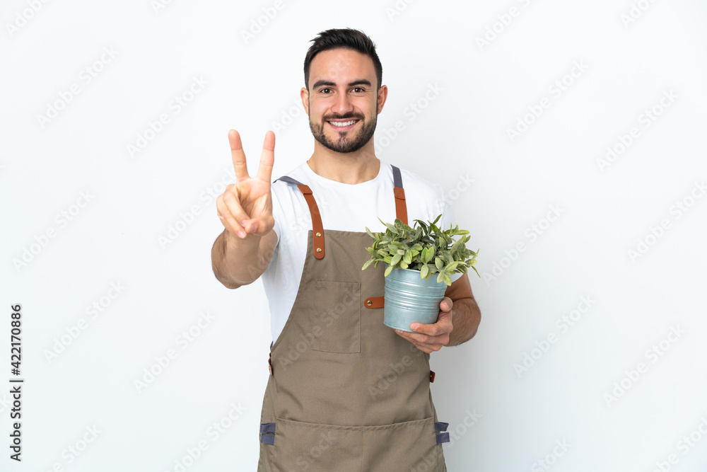 Gardener man holding a plant isolated on white background smiling and showing victory sign Gardener man holding a plant isolated on white background smiling and showing victory sign