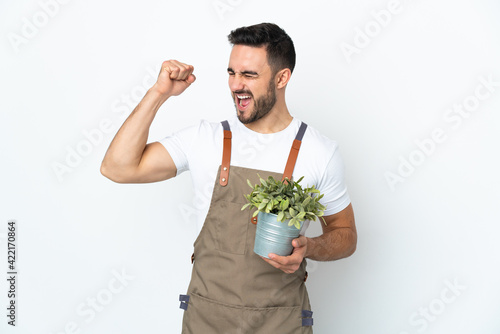 Gardener man holding a plant isolated on white background celebrating a victory