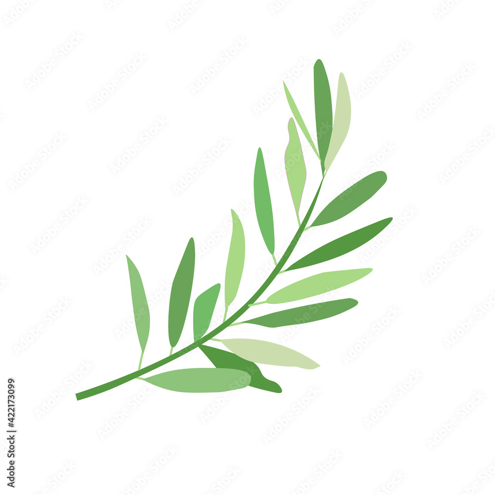 Olive branch botanical art design elements stock vector illustration for web, for print Olive branch botanical art design elements stock vector illustration for web, for print