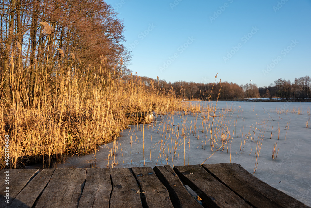 Naklejka premium Typical polish winter landcape. Frozen lake under blue sky. Old wooden pier. Selective focus. 