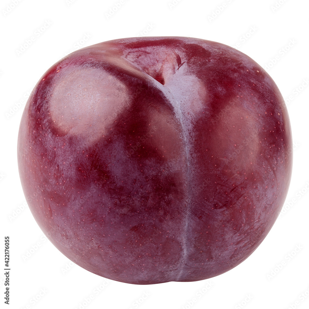 plum isolated on white background, clipping path, full depth of field