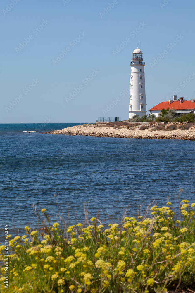 A tall white lighthouse stands on the seashore. Yellow flowers grow in the foreground