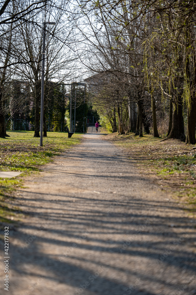 bike path in the park in early spring, no people bike path in the park in early spring, no people