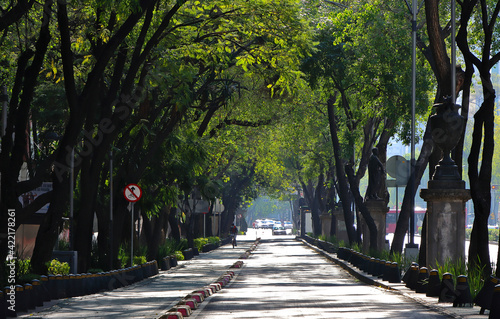 Ciudad o zona urbana con arboles y vegetación verde y edificios y calles con gente photo