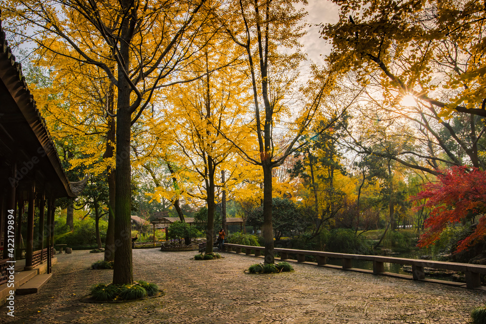 Fototapeta premium autumn in the park