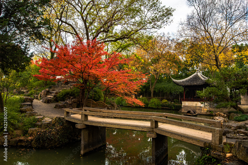 Fototapeta premium autumn in the park