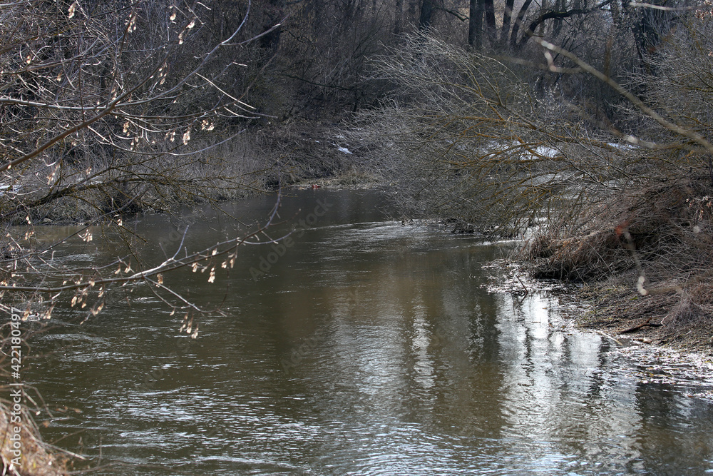The river in the forest in spring The river in the forest in spring