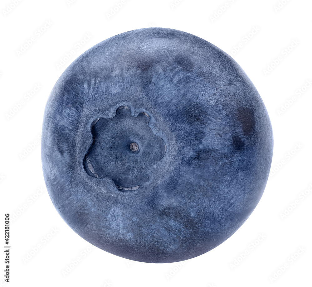 Blueberry isolated on white background. Blue forest berry macro studio shot. Beautiful bluberry closeup for packaging design. Whole single billberry close up. Healthy organic food bilberry ingredient Blueberry isolated on white background. Blue forest berry macro studio shot. Beautiful bluberry closeup for packaging design. Whole single billberry close up. Healthy organic food bilberry ingredient
